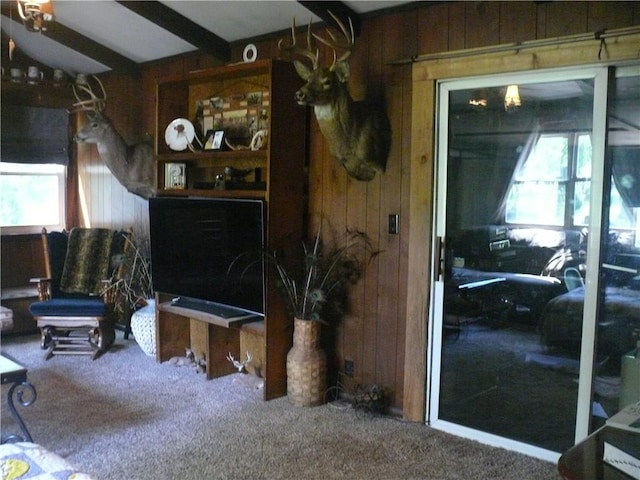 living room featuring beam ceiling, wooden walls, and carpet