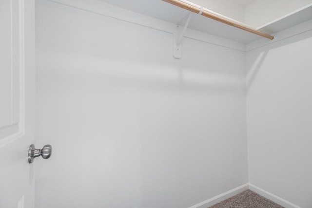 spacious closet featuring carpet