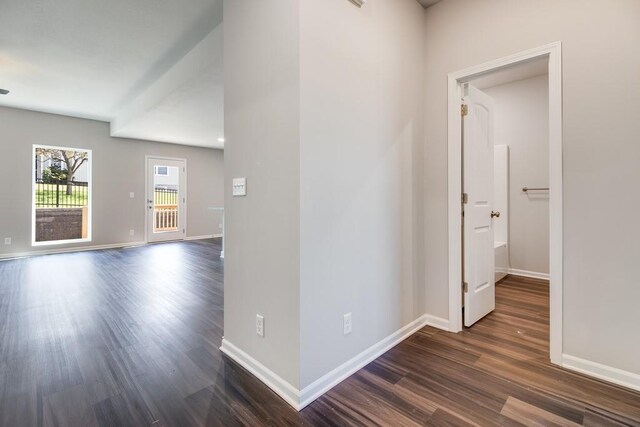 hallway featuring dark wood-type flooring