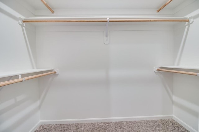 walk in closet featuring carpet floors