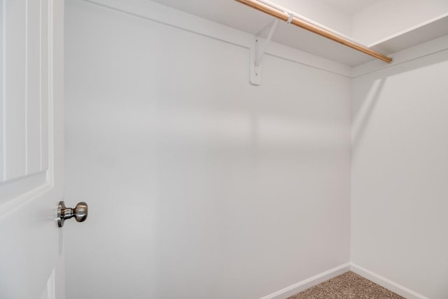 spacious closet with carpet flooring