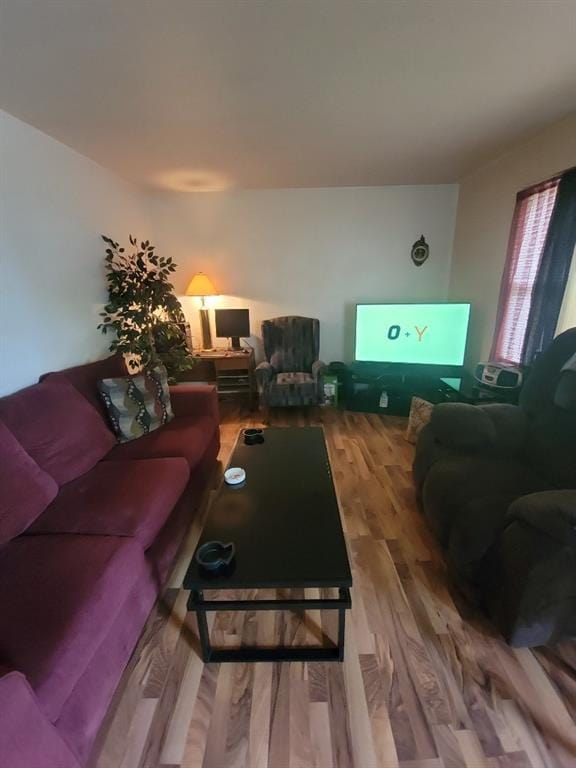 living room featuring hardwood / wood-style floors