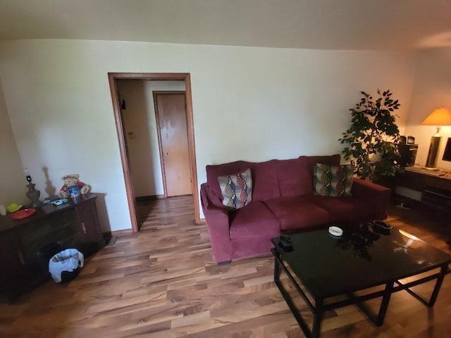 living room with wood-type flooring