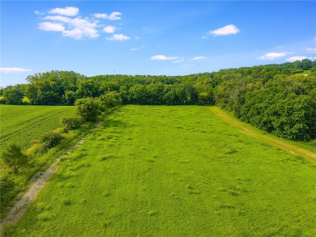 10287 County Road 378, Saint Joseph, MO 64505 - photo 6