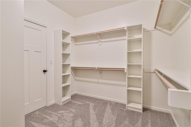 walk in closet with dark carpet