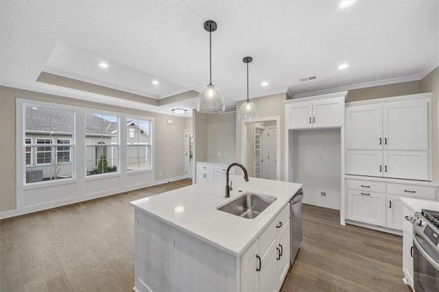 kitchen with appliances with stainless steel finishes, a tray ceiling, sink, pendant lighting, and a center island with sink