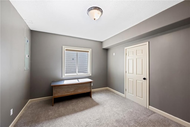 living area with carpet flooring