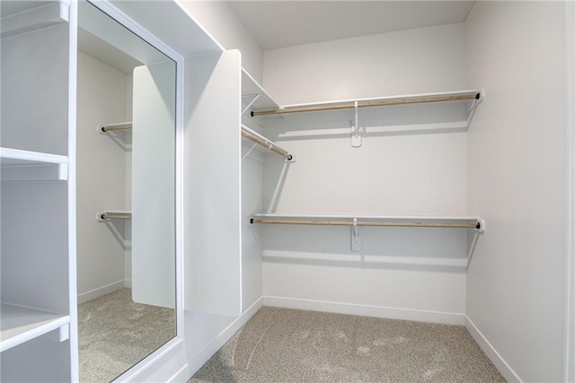 walk in closet featuring light colored carpet