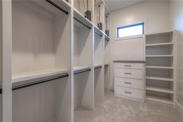 spacious closet featuring light carpet