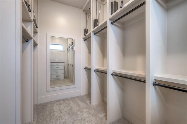 spacious closet with light carpet