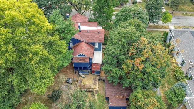 drone / aerial view