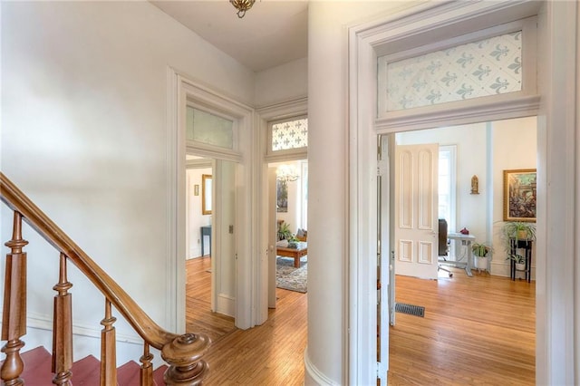 hallway with visible vents, plenty of natural light, light wood finished floors, and stairs