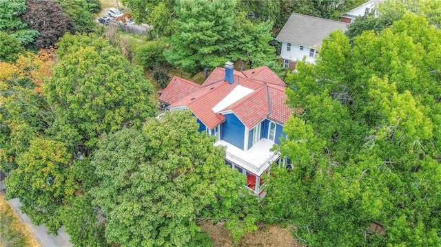 bird's eye view