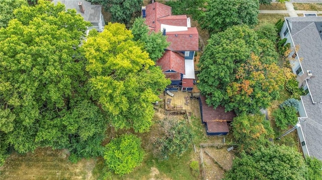 drone / aerial view