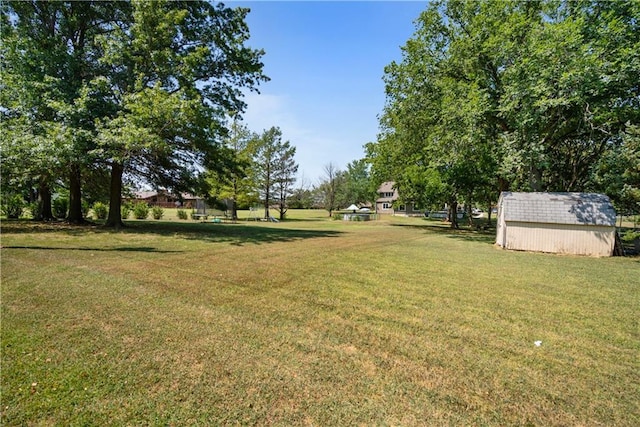 view of yard with a storage unit