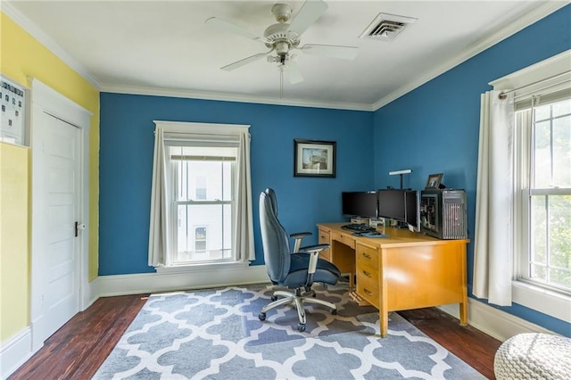 office area featuring dark hardwood / wood-style flooring and a wealth of natural light