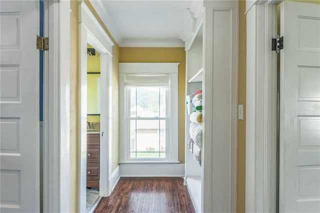 doorway to outside with dark hardwood / wood-style flooring and crown molding