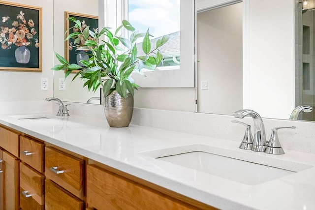 bathroom with dual bowl vanity