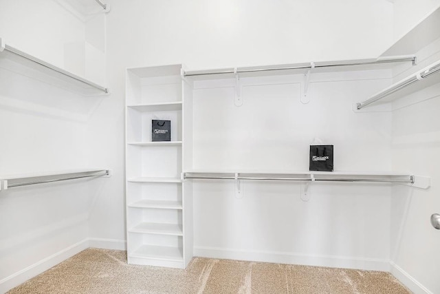 spacious closet with light carpet