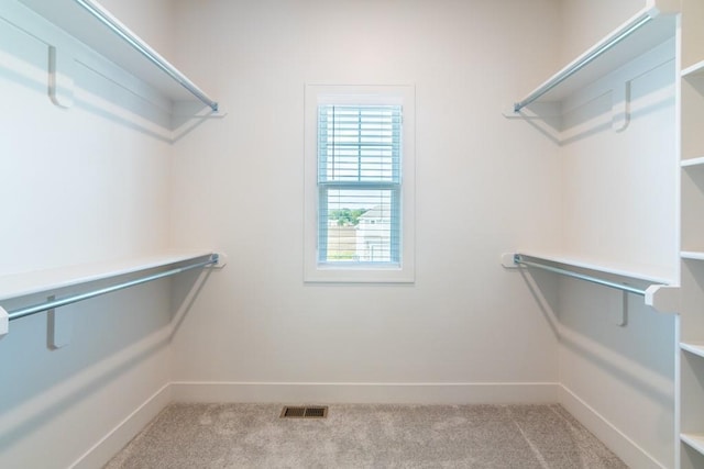 spacious closet with light carpet