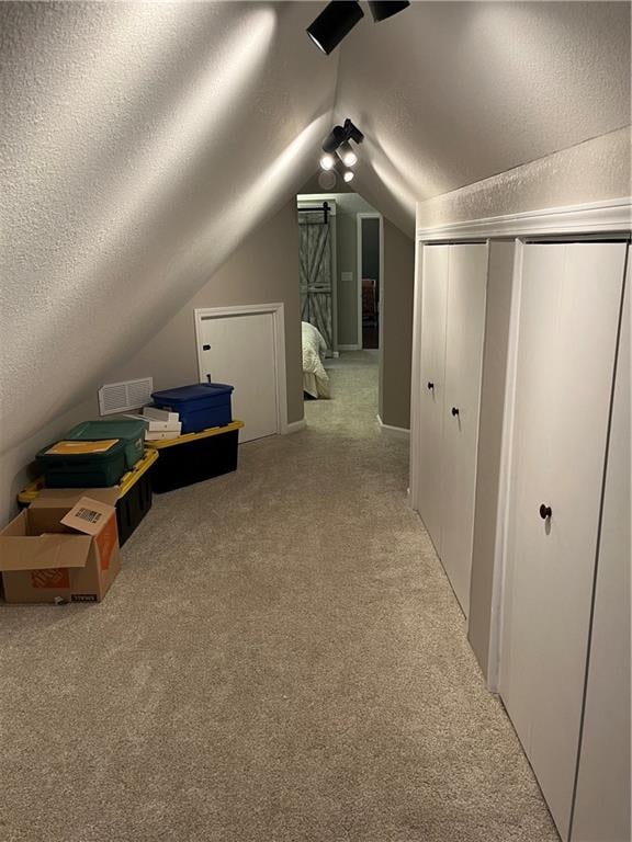 additional living space featuring light carpet, a textured ceiling, and vaulted ceiling