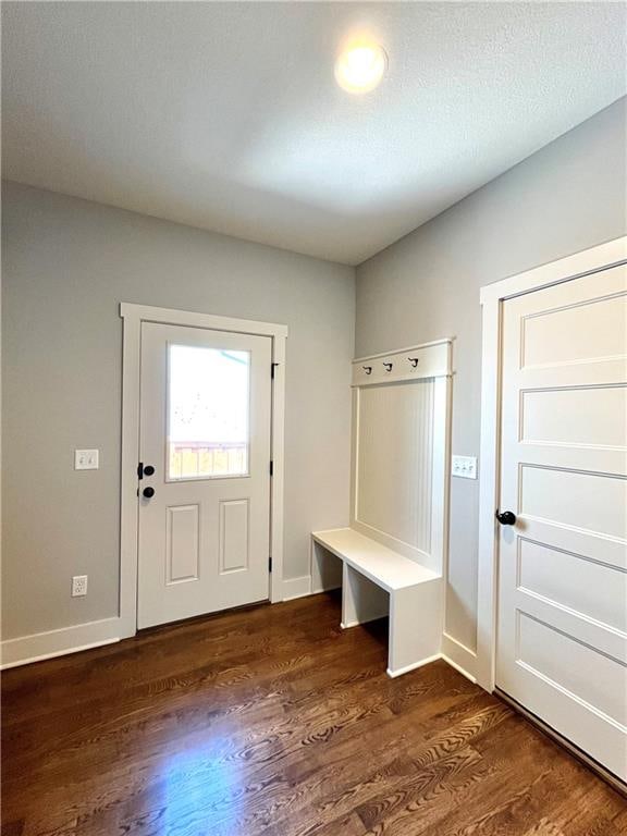 mudroom featuring dark hardwood / wood-style flooring