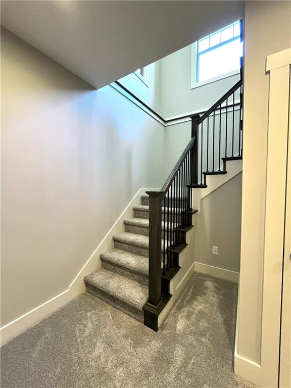 staircase with carpet floors