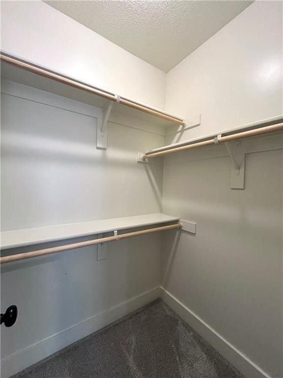 walk in closet with carpet floors