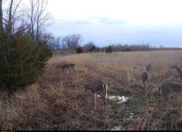 Listing photo 2 for 36707 Spring Valley Rd, Louisburg KS 66053