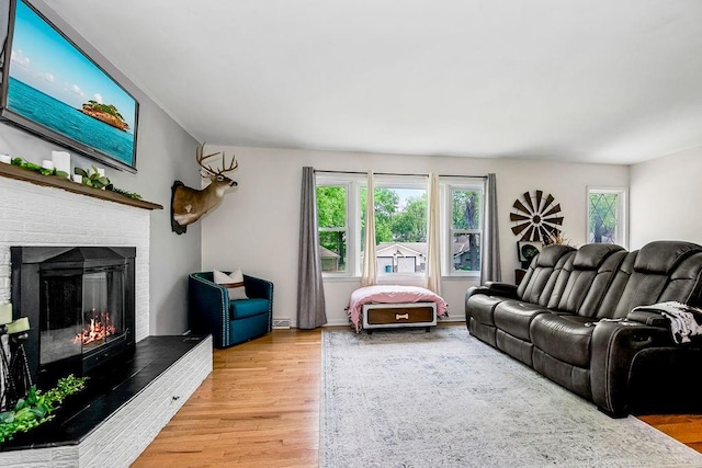 living room with hardwood / wood-style floors