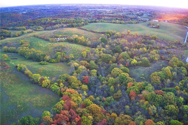 bird's eye view