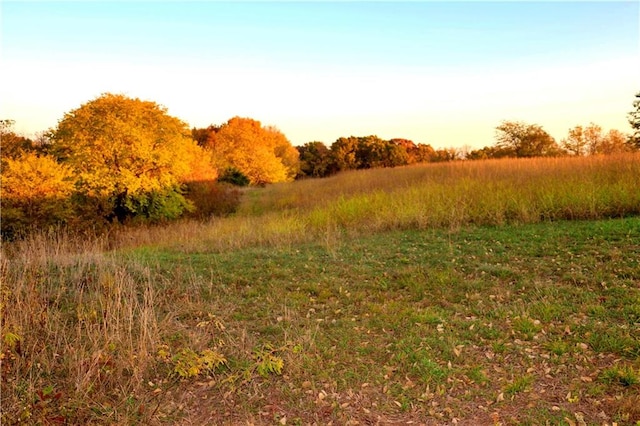 view of nature at dusk