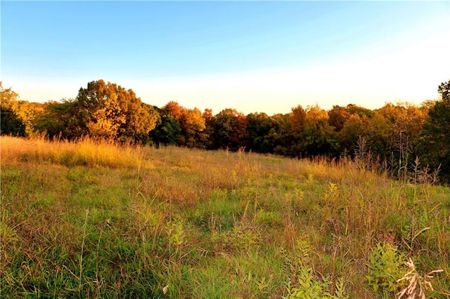 view of nature with a rural view