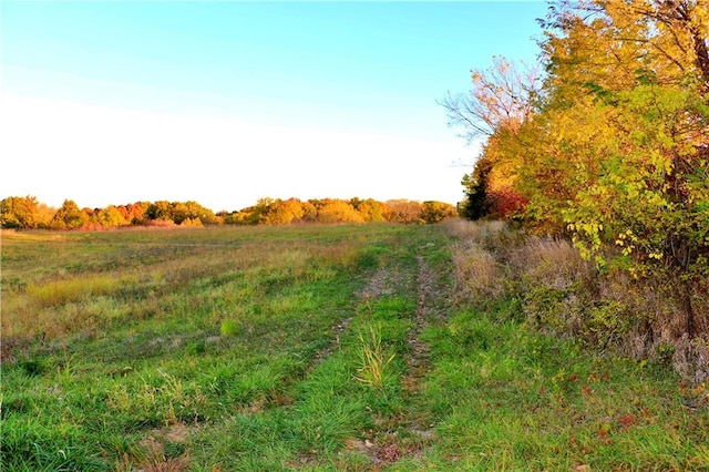 view of local wilderness featuring a rural view