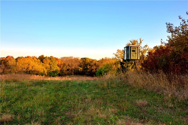 view of nature