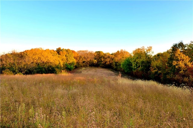 view of nature