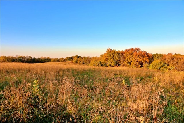 view of local wilderness with a rural view