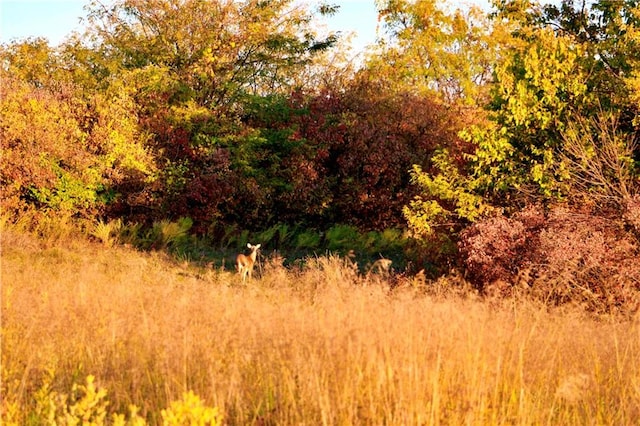 view of nature