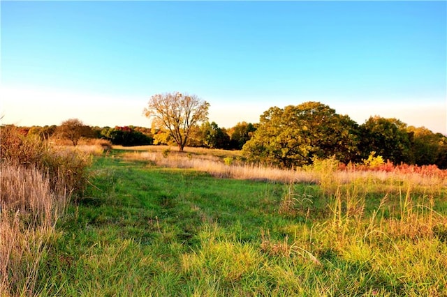 view of landscape featuring a rural view