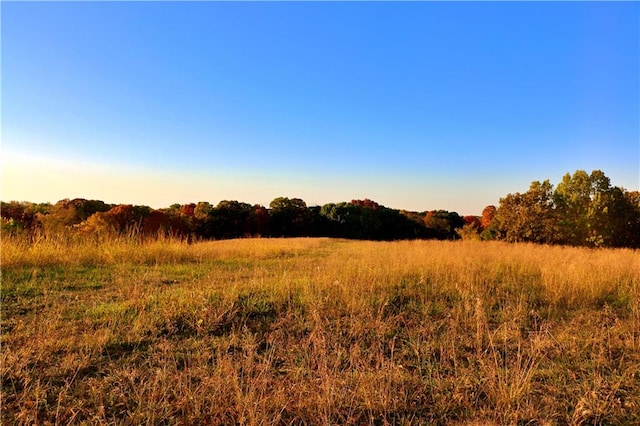 view of landscape featuring a rural view