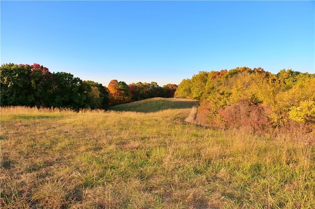 view of nature featuring a rural view