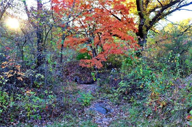 view of landscape