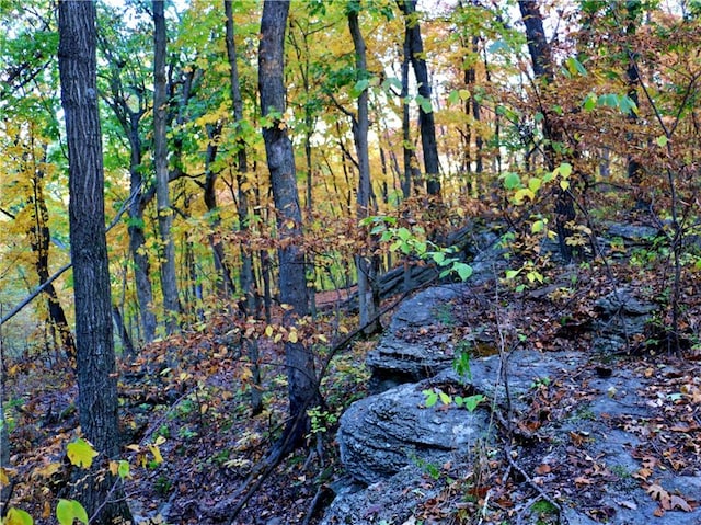 view of landscape