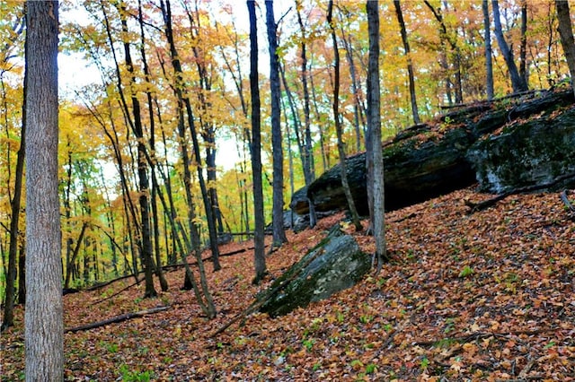 view of landscape