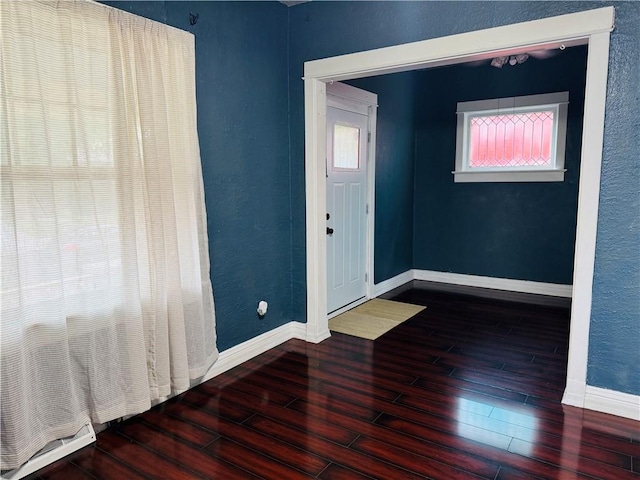 foyer entrance with wood-type flooring