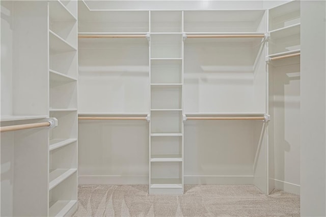 spacious closet with carpet floors