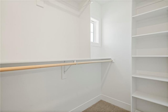 spacious closet with carpet floors