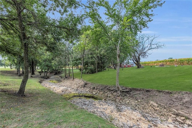 22750 Switzer Rd, Bucyrus, KS 66013 - view of yard