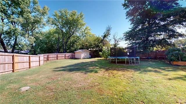 view of yard with a shed and a trampoline