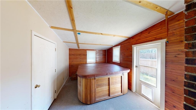 interior space featuring lofted ceiling, carpet flooring, and wood walls